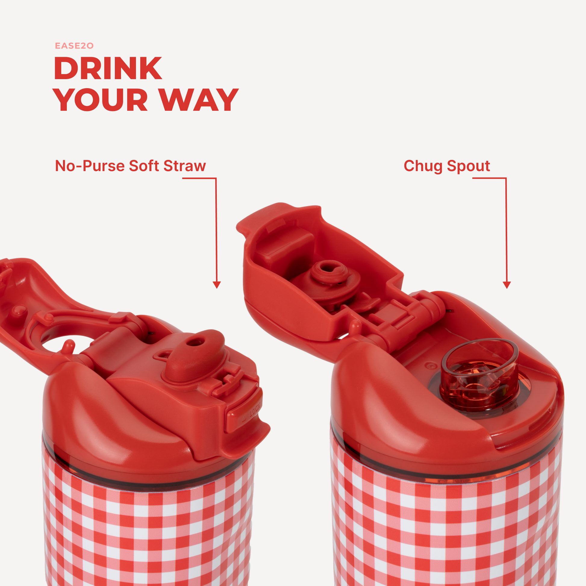 summer-picnic-b4 Ease14-SummerPicnic-3WPI.png
