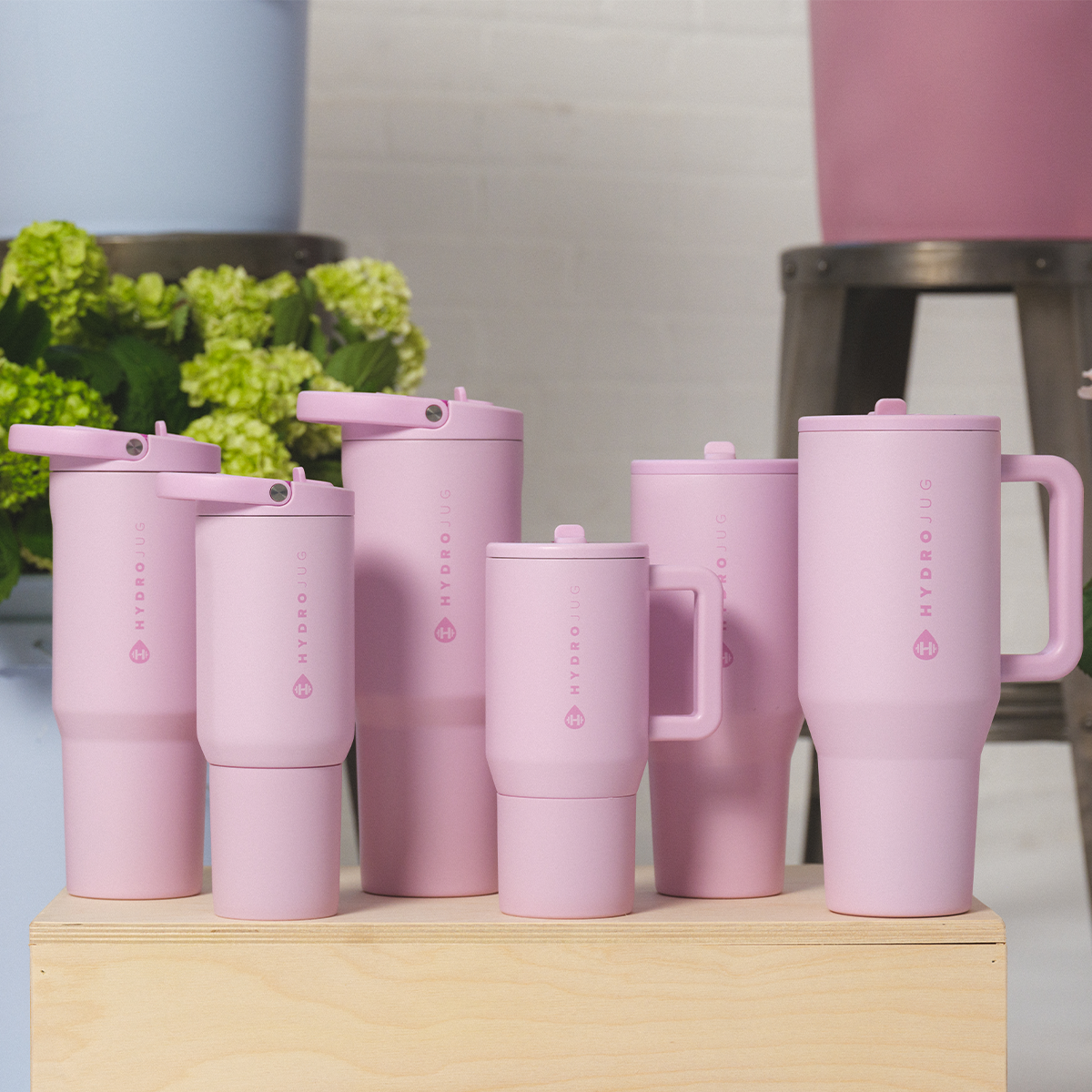 sweet-pea-h2 Sport20-Sweetpea-WPI-9.png