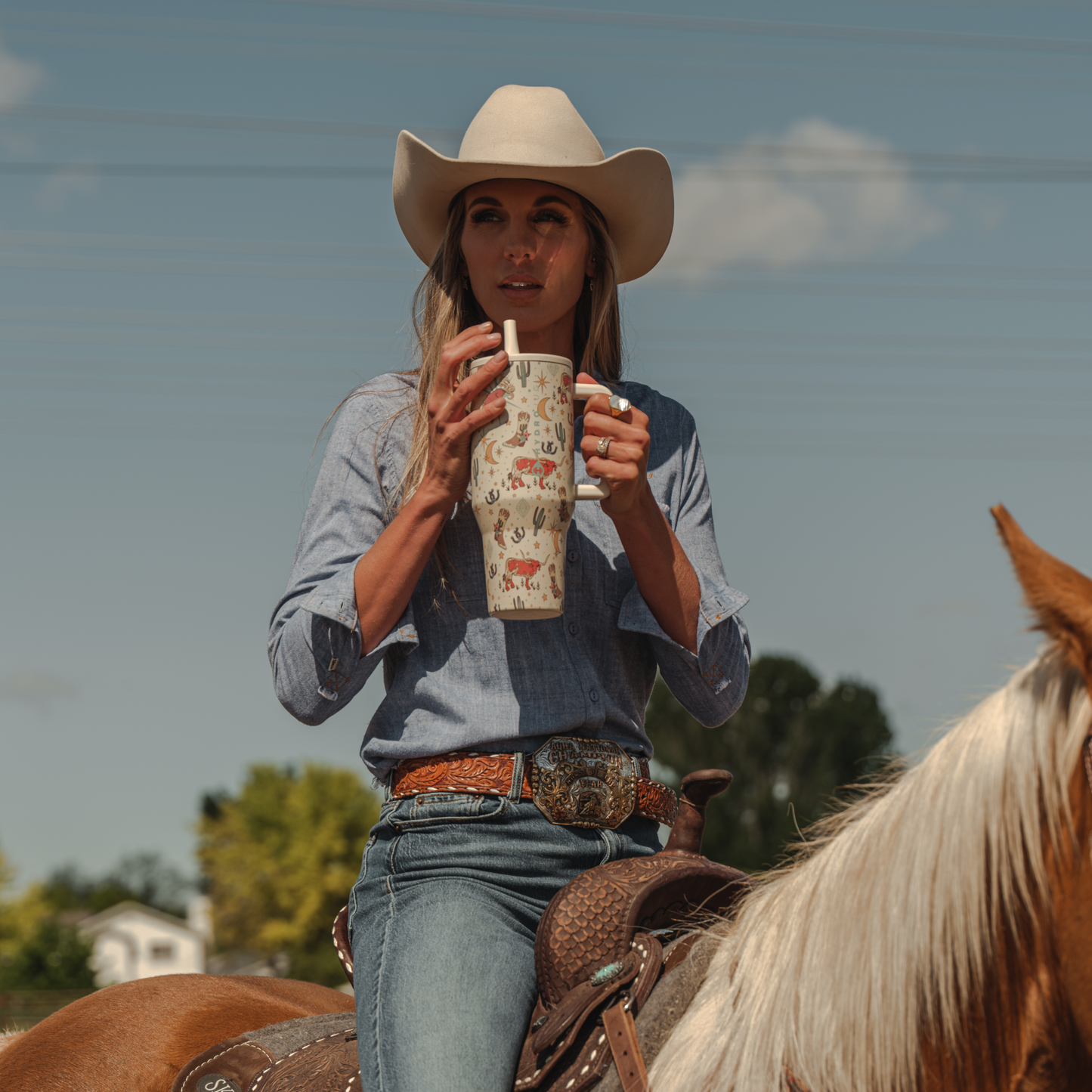 rodeo-b2 TRVL-Rodeo-6WPI.png